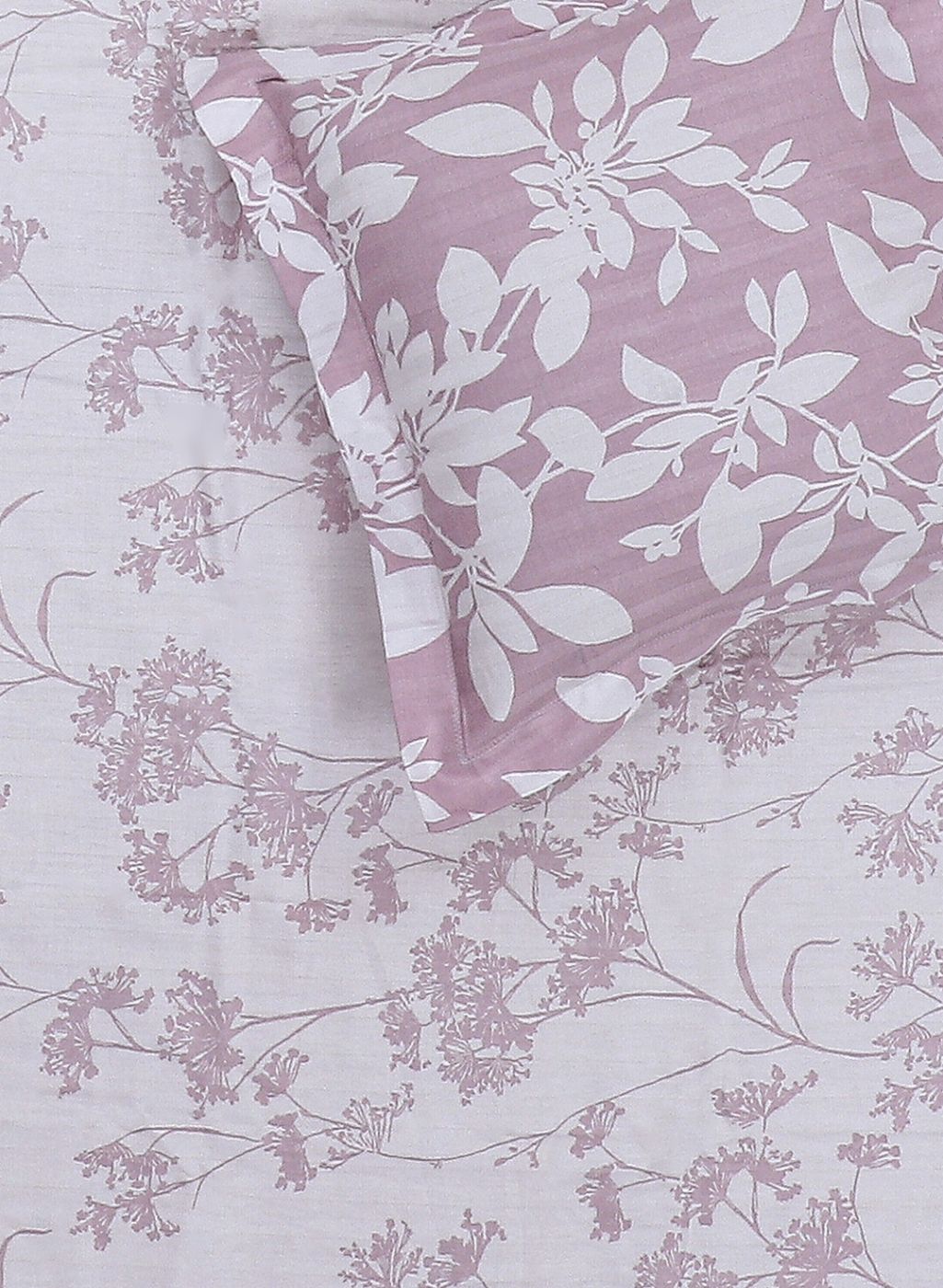 210TC Pure Cotton King Bedsheet with 2 Pillow Covers