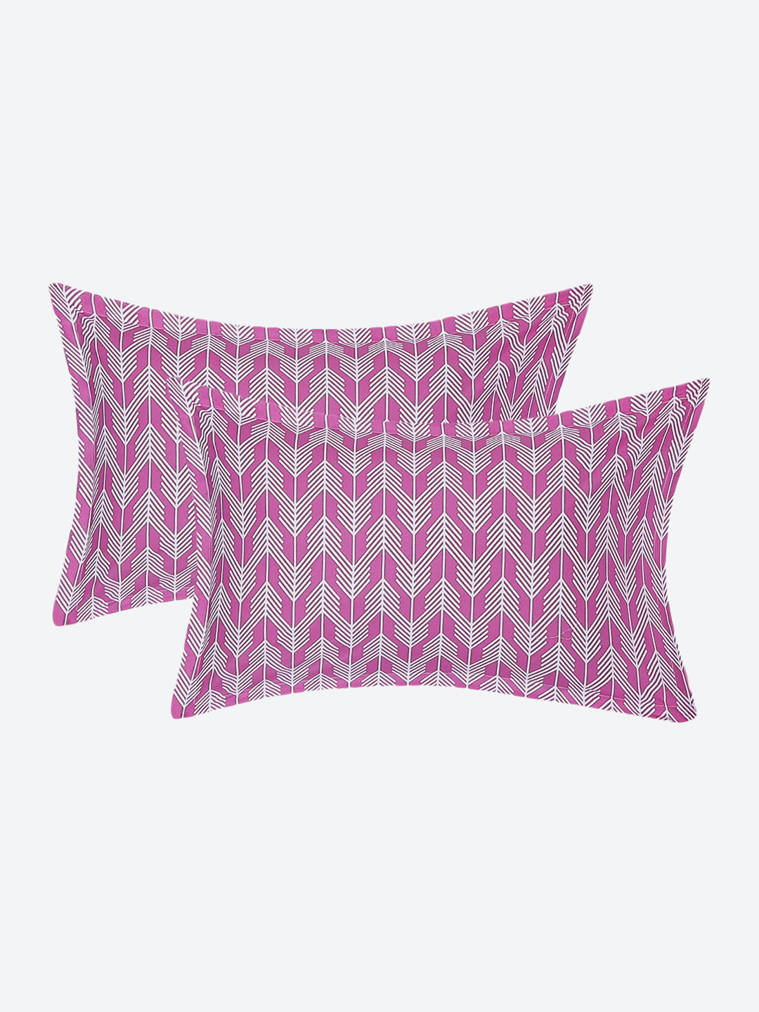 MOCA by Monte Carlo 104 TC Cotton Double Bedsheet with 2 Pillow Covers