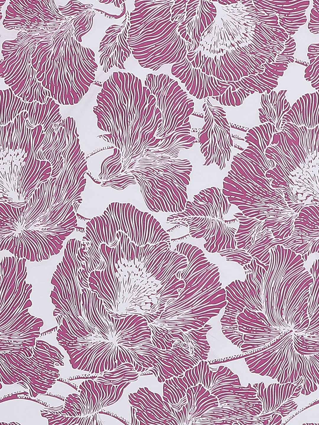 MOCA by Monte Carlo 144 TC Cotton King Bedsheet with 2 Pillow Covers