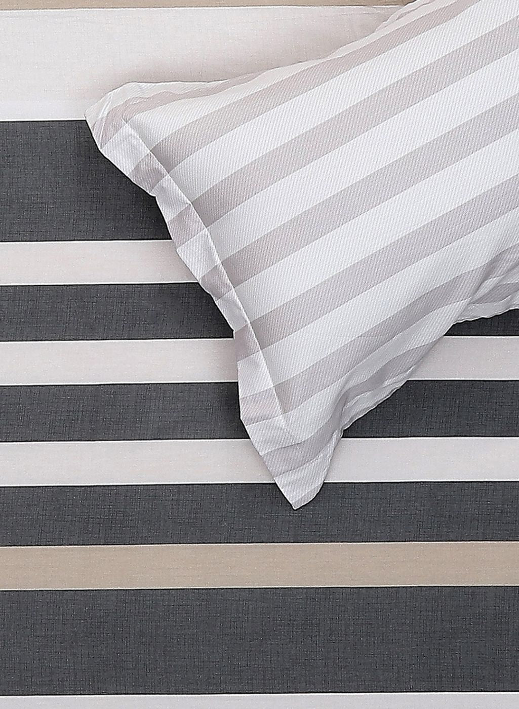 200TC Pure Cotton Queen Bedsheet with 2 Pillow Covers