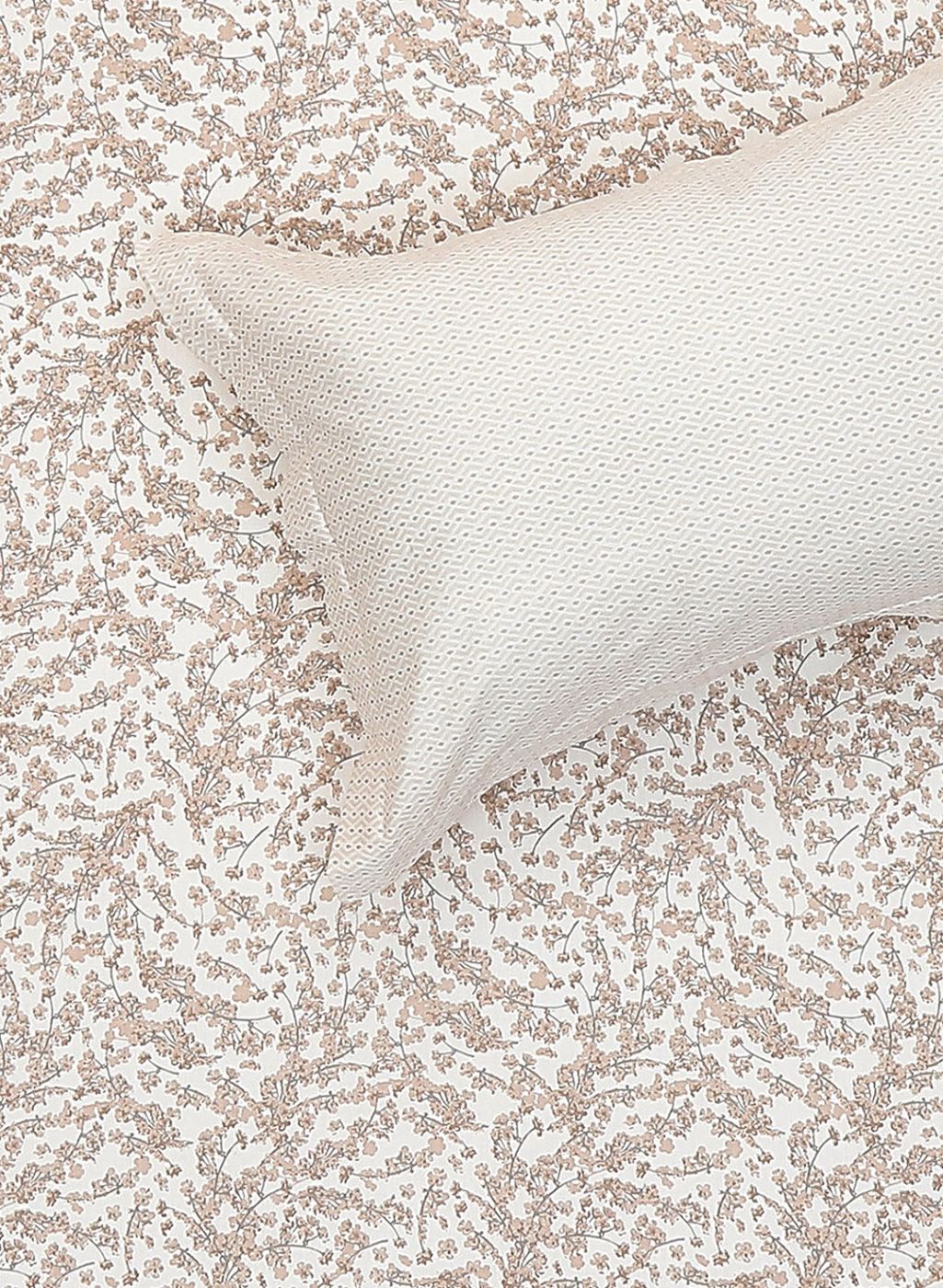 210TC Pure Cotton Queen Bedsheet with 2 Pillow Covers