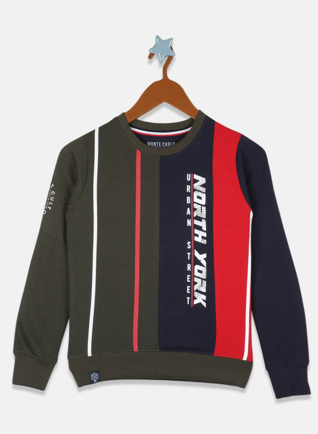 Boys Multicolor Printed Sweatshirt