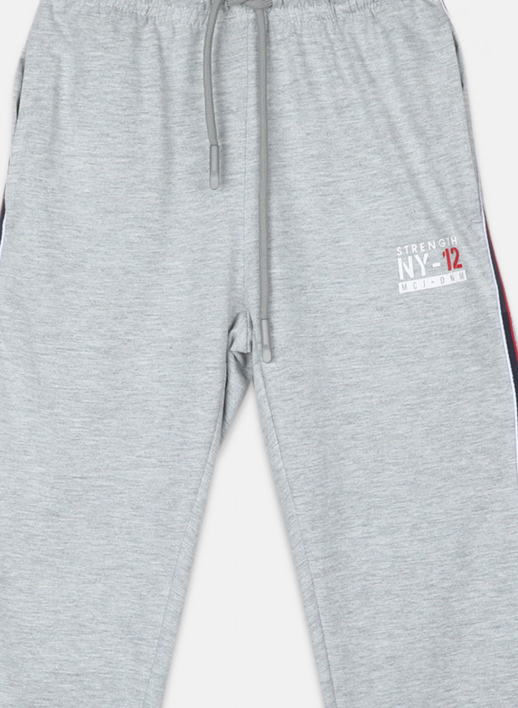 Boys Grey Regular Fit Lower