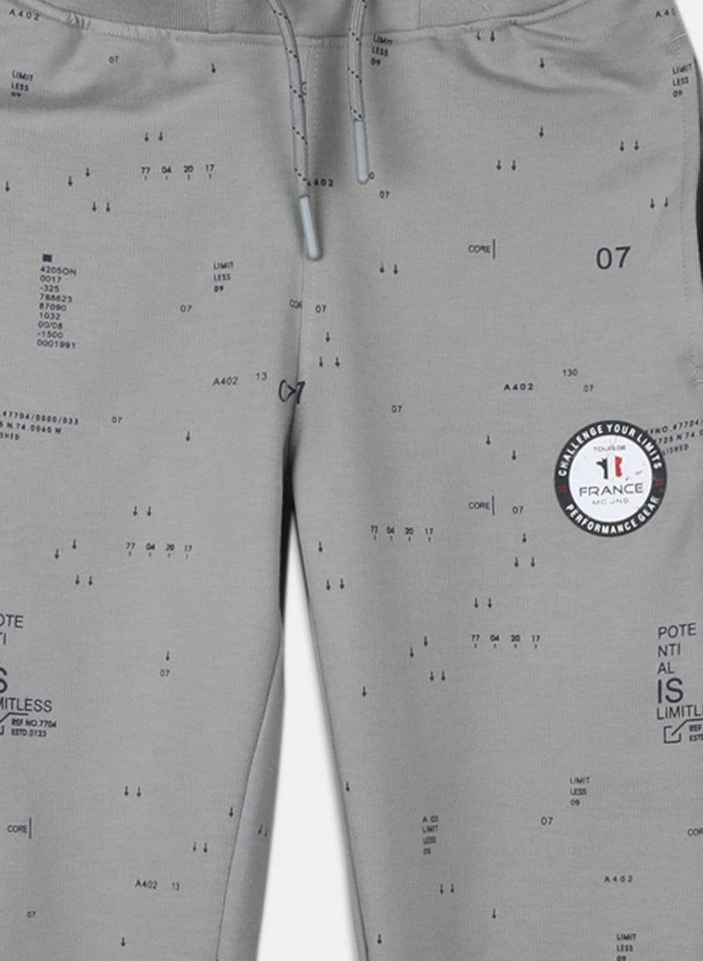 Boys Grey Regular Fit Lower