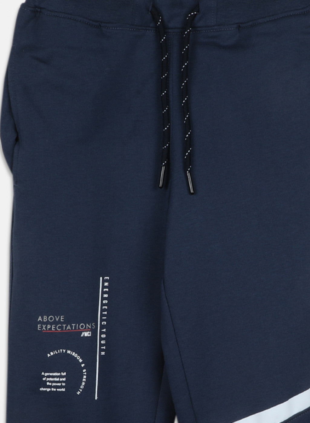 Boys Blue Regular Fit Lower