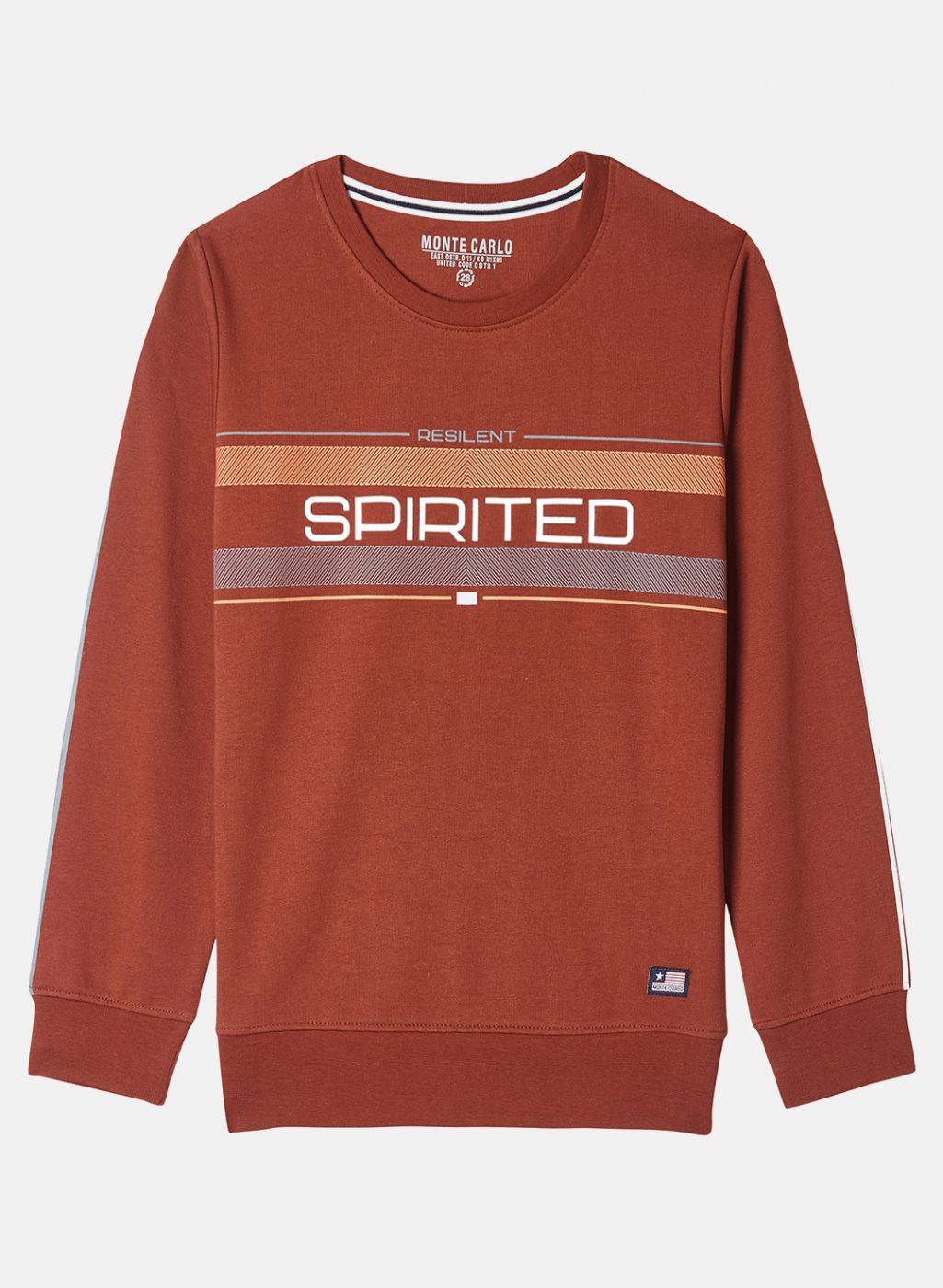 Boys Brown Printed Sweatshirt