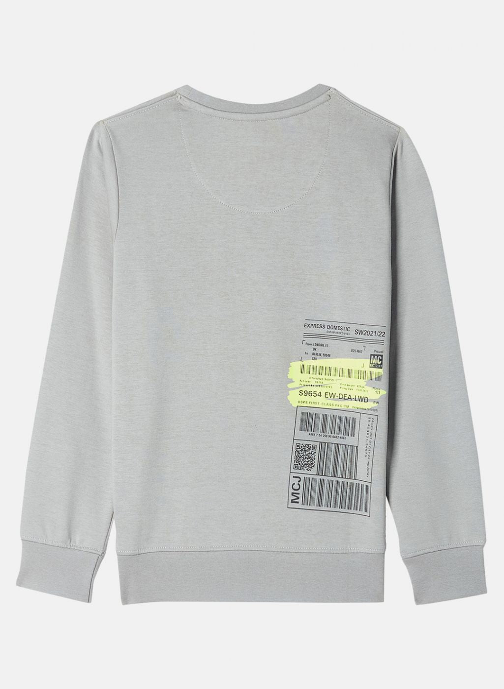 Boys Grey Printed Sweatshirt