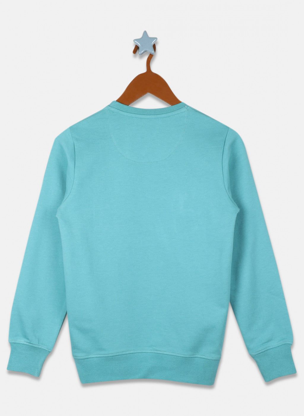 Boys Light Green Printed Sweatshirt