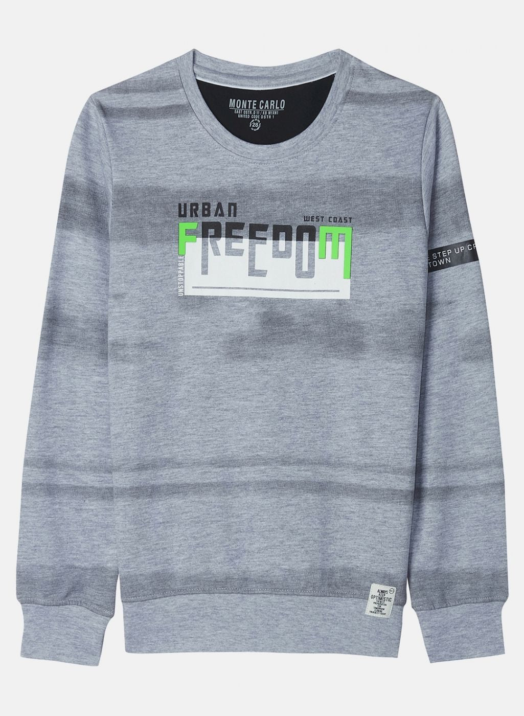 Boys Grey Printed Sweatshirt