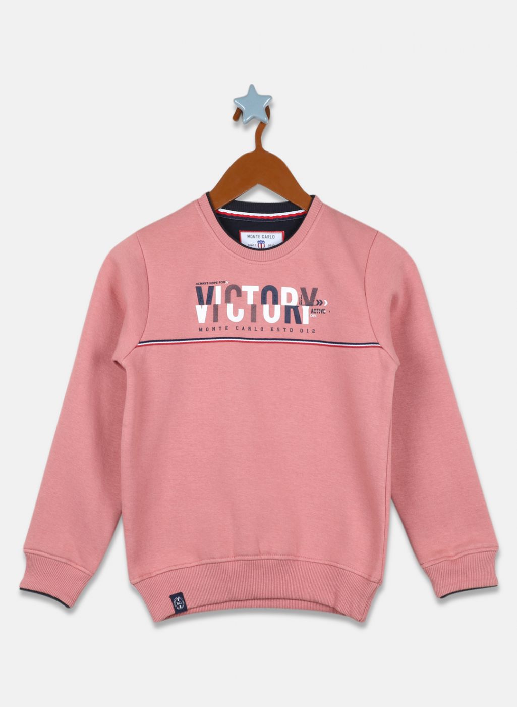 Boys Pink Printed Sweatshirt