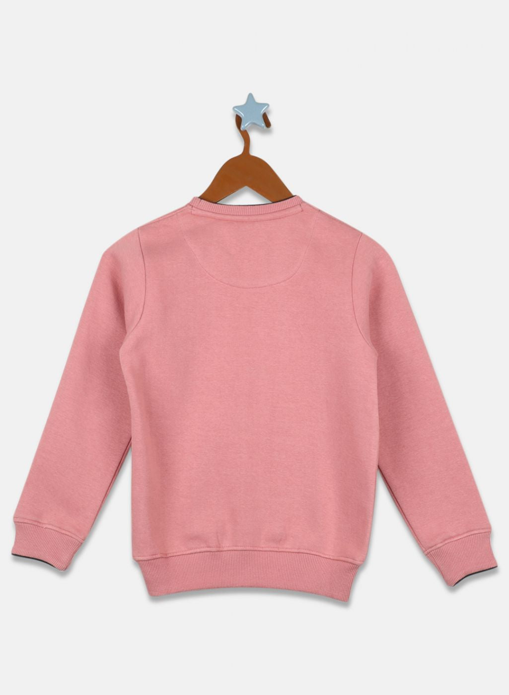 Boys Pink Printed Sweatshirt
