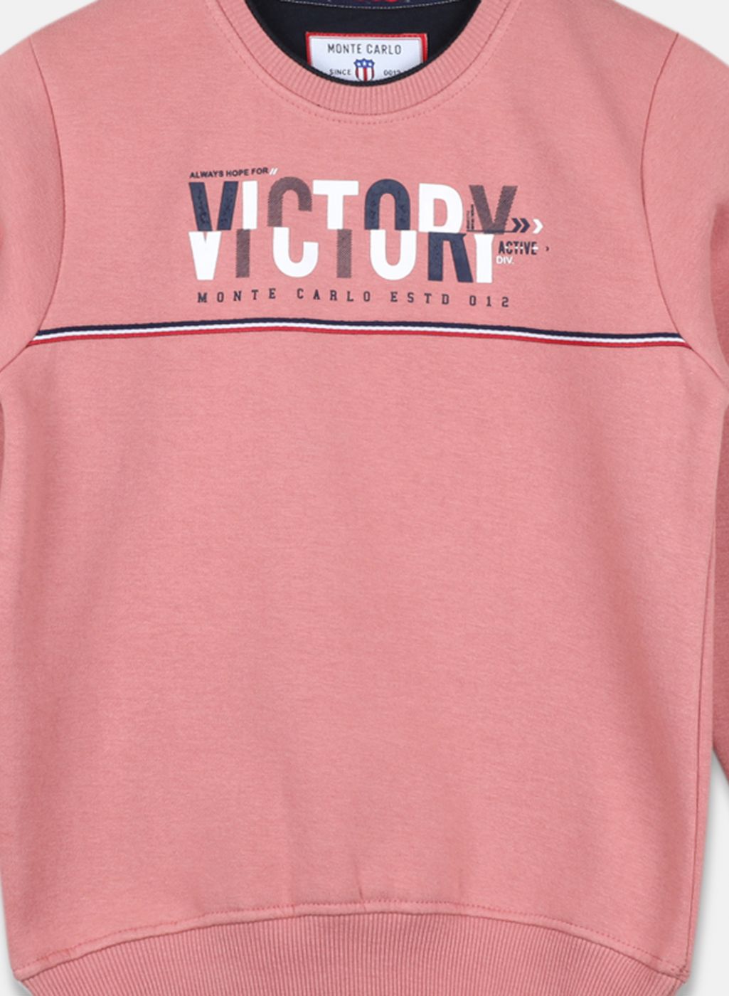 Boys Pink Printed Sweatshirt