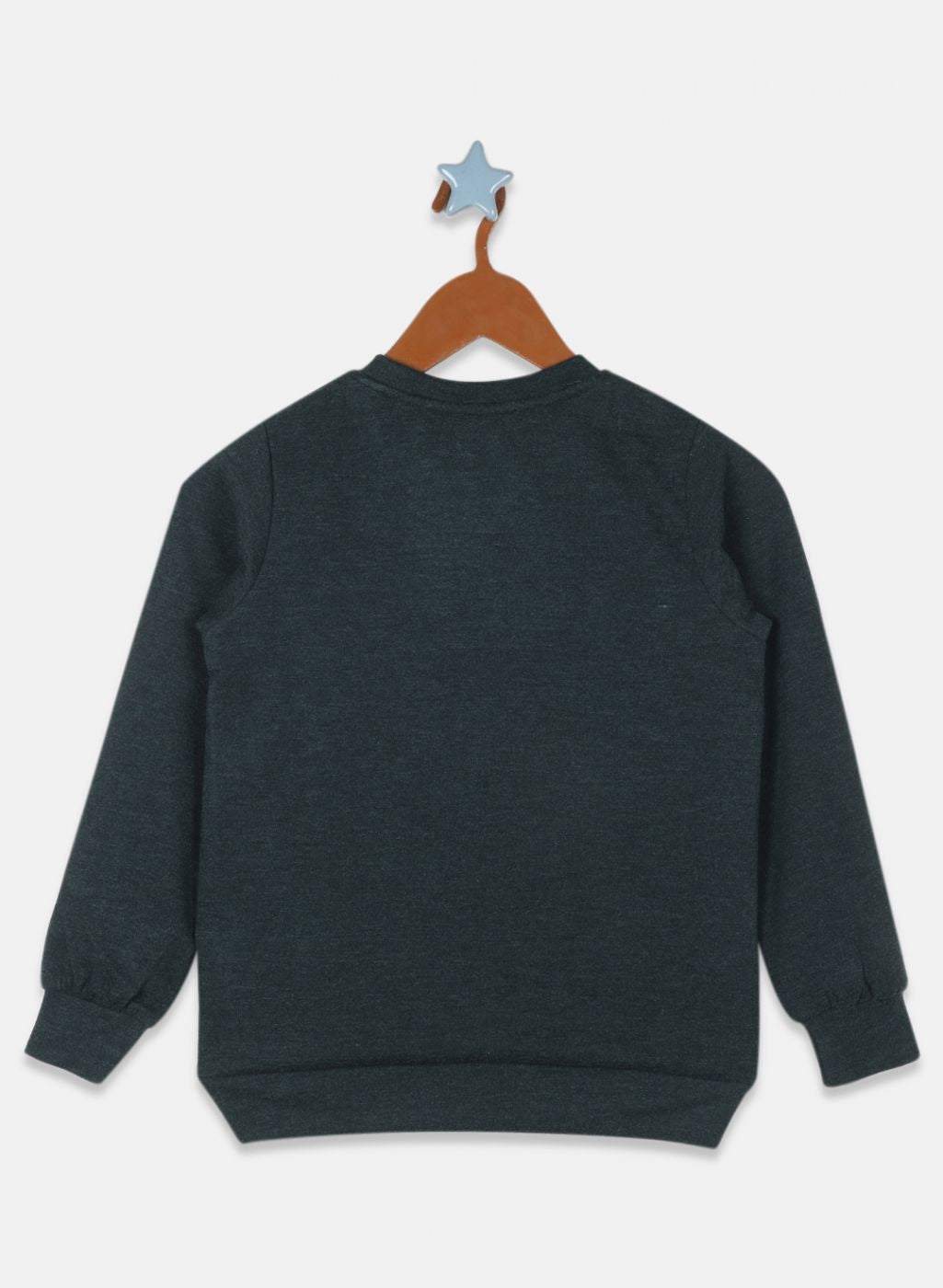 Boys Green Solid Sweatshirt