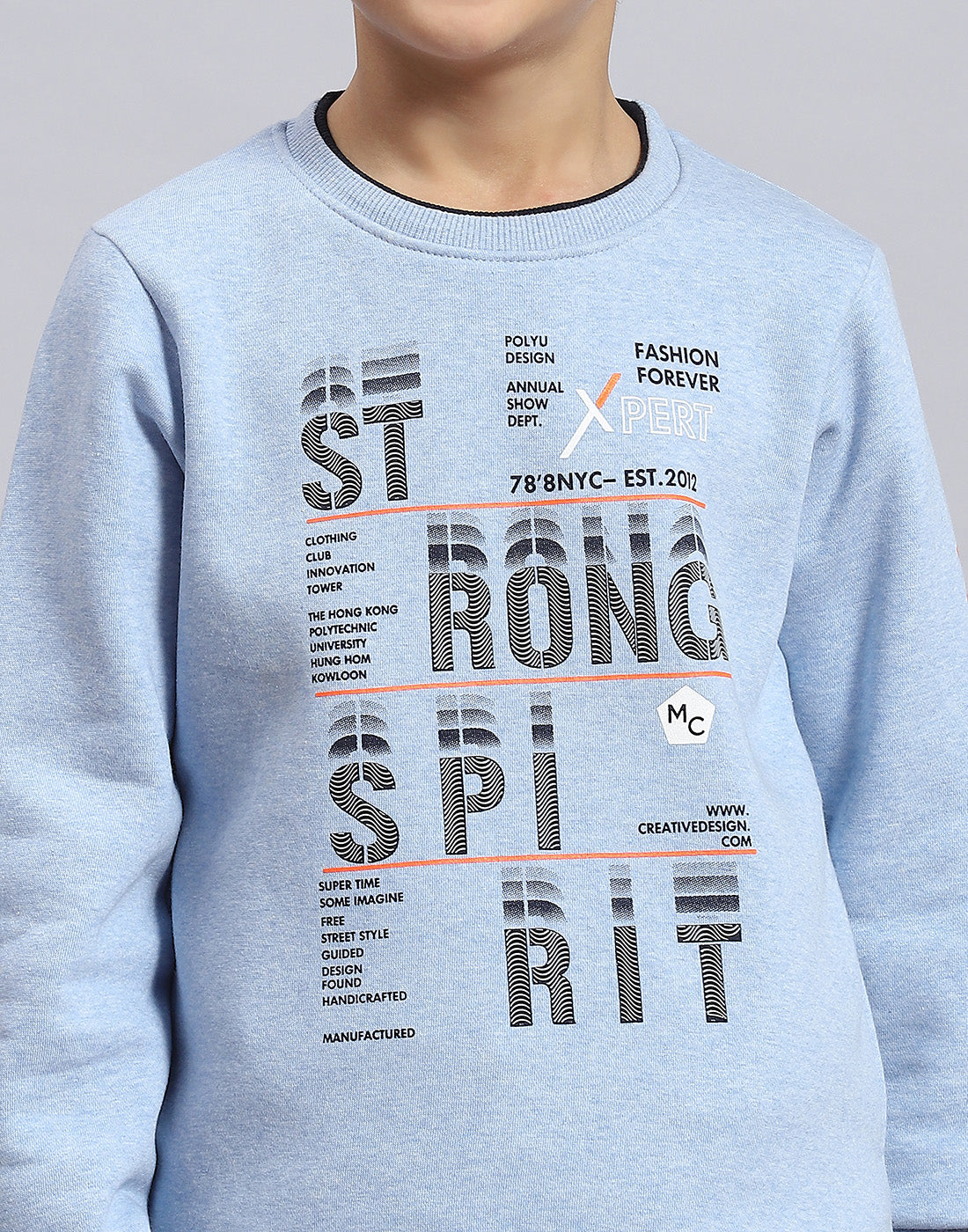 Boys Blue Printed Round Neck Full Sleeve Sweatshirt