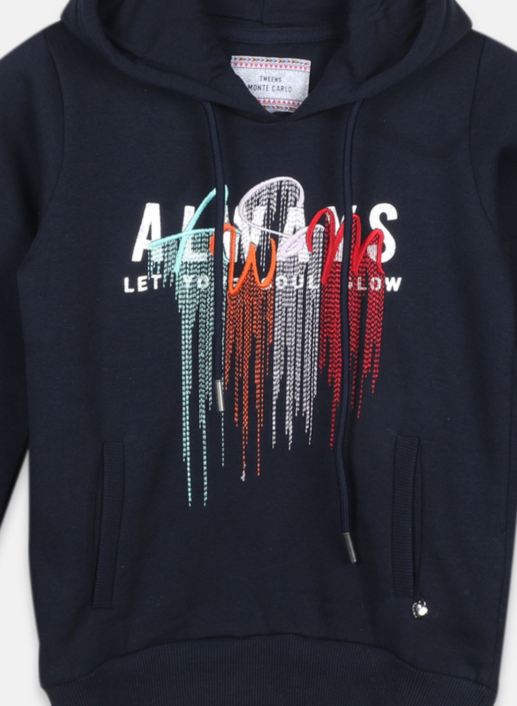 Girls NAvy Blue Embroidered Sweatshirt