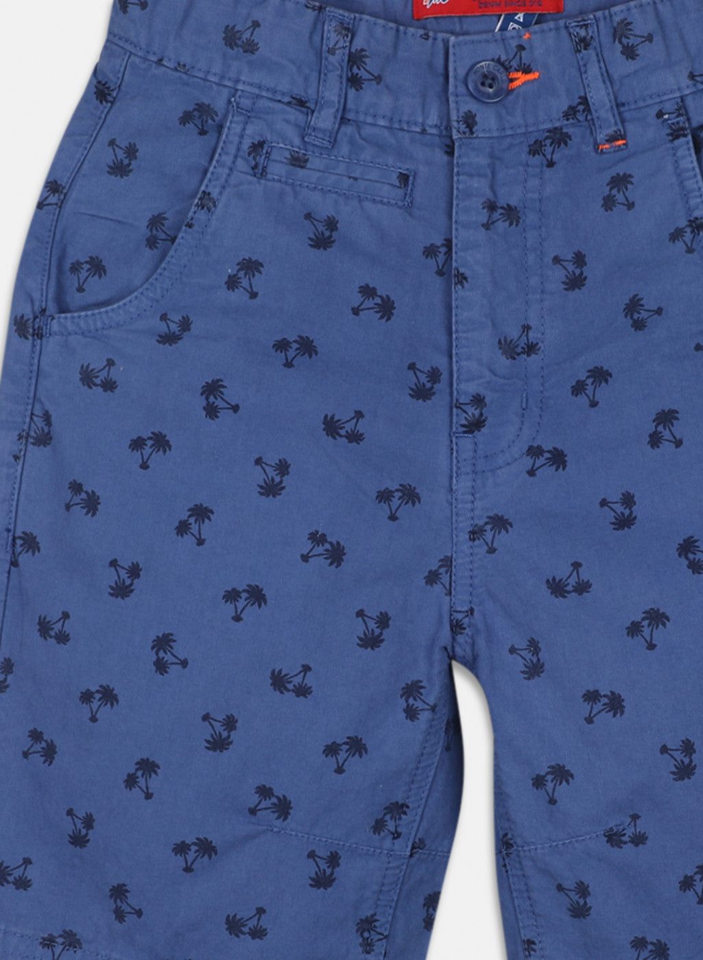 Boys Blue Printed Short