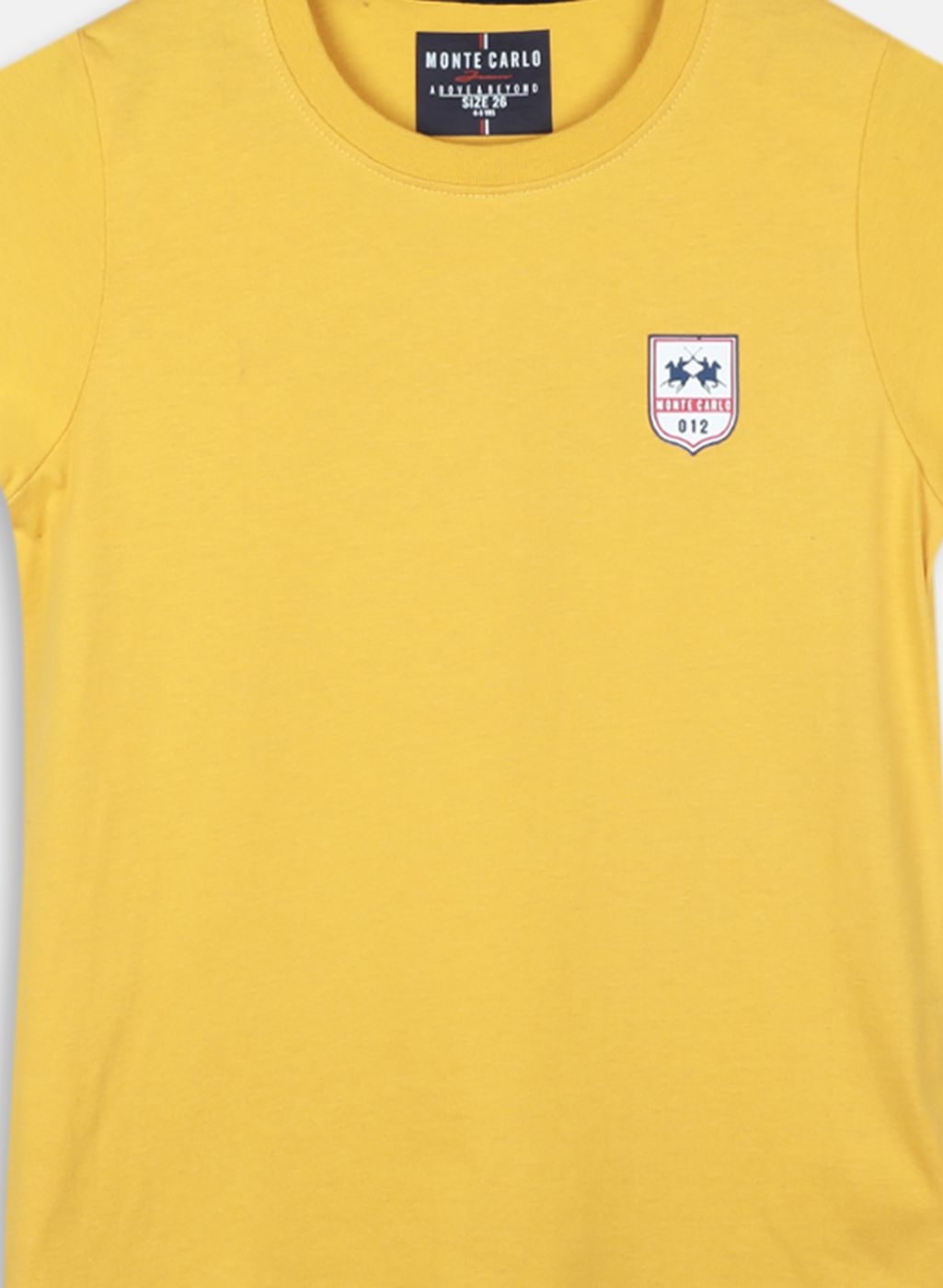 Boys Multi Color Printed T-Shirt