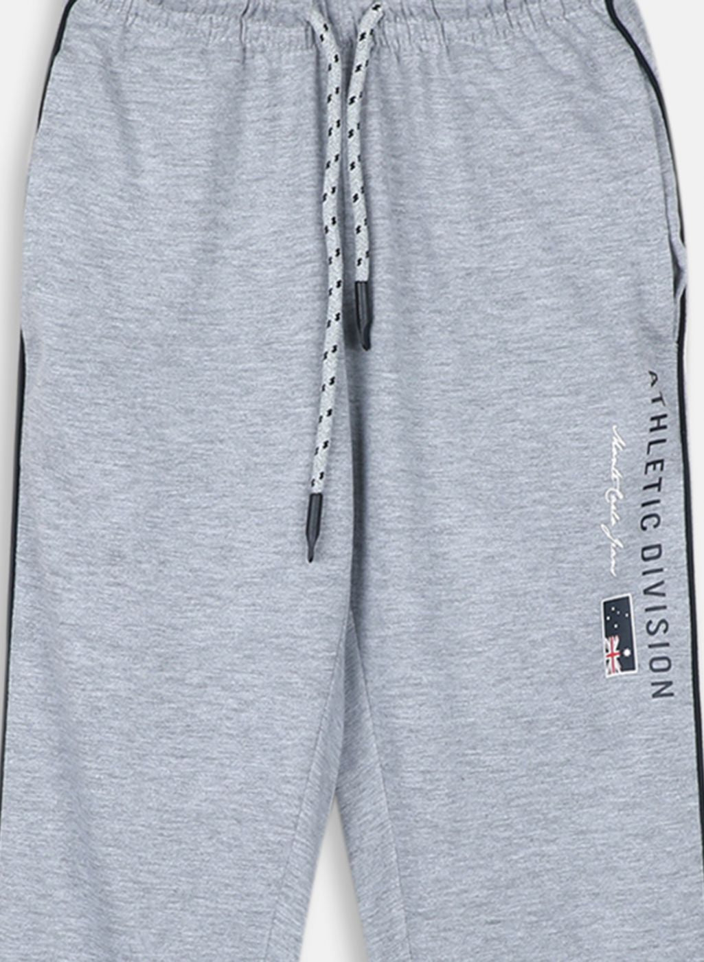 Boys Grey Regular Fit Lower