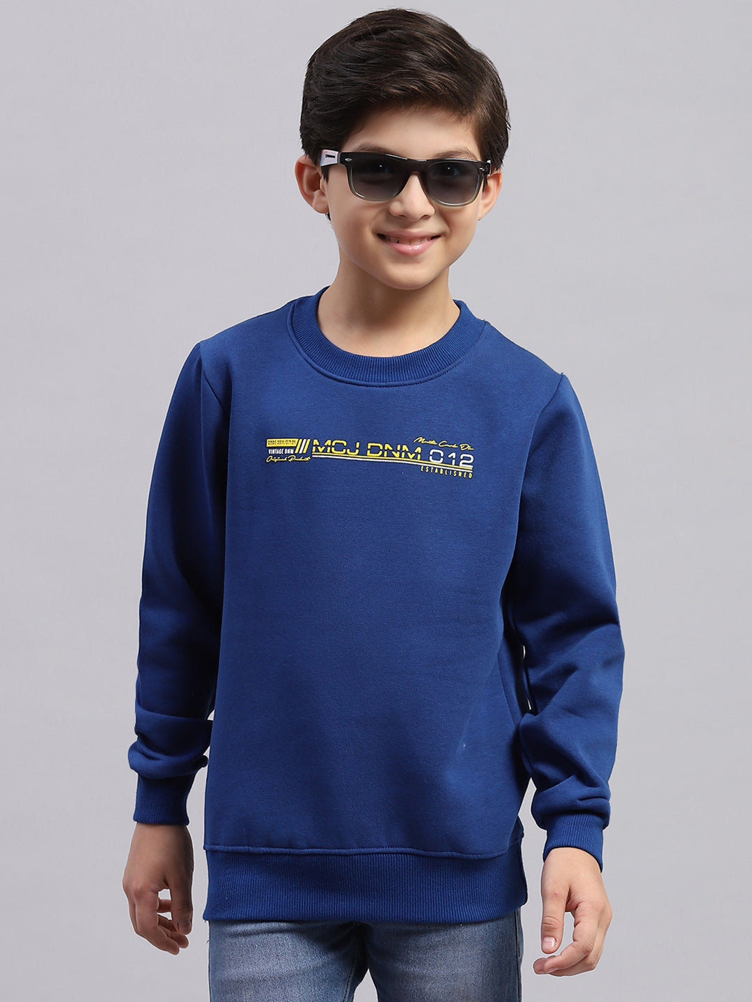 Boys Blue Printed Round Neck Full Sleeve Sweatshirt
