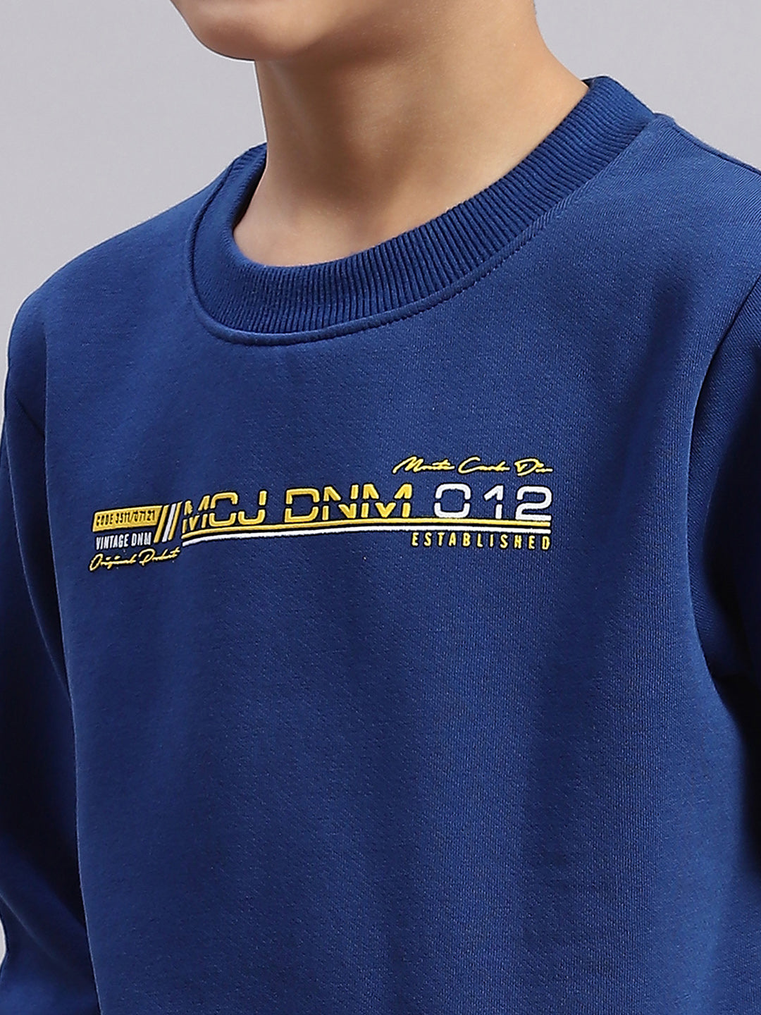 Boys Blue Printed Round Neck Full Sleeve Sweatshirt