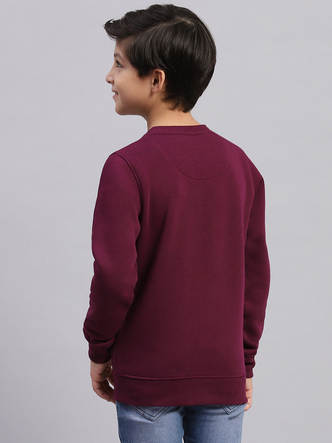 Boys Purple Printed Round Neck Full Sleeve Sweatshirt