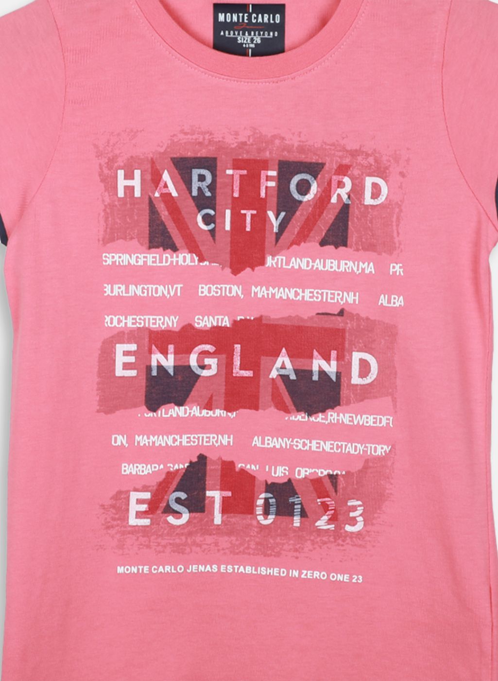 Boys Pink Printed T-Shirt