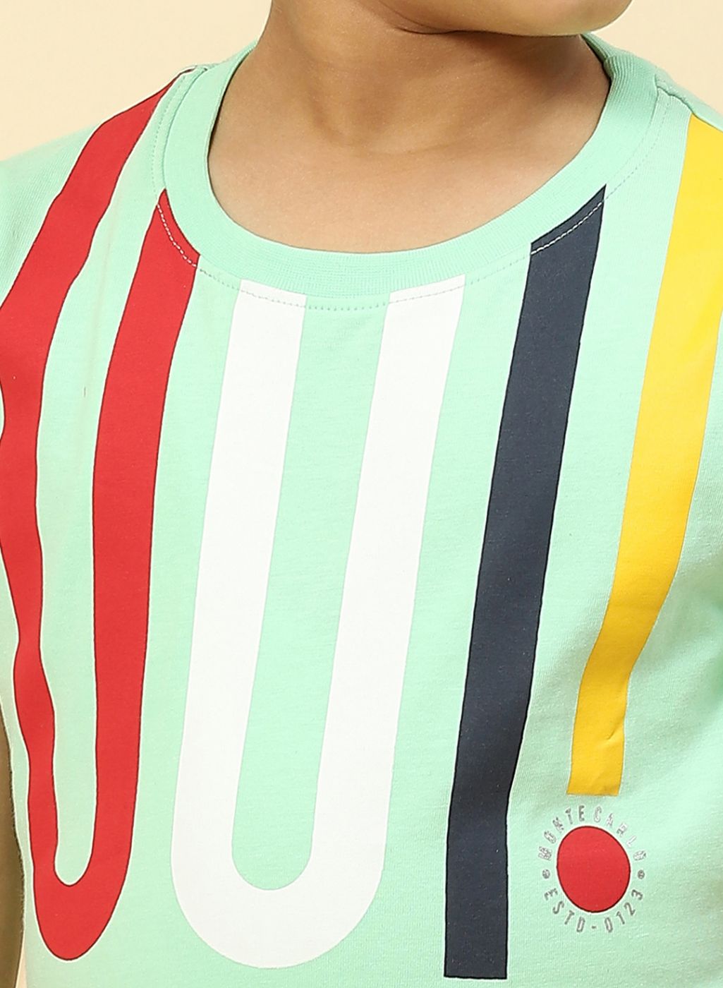 Boys Sea Green Printed T-Shirt