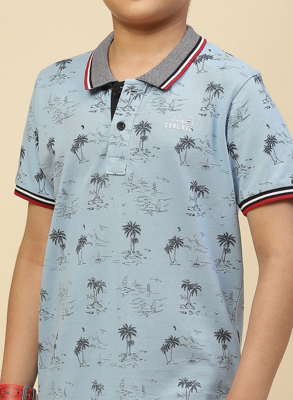 Boys Sky Blue Printed T-Shirt