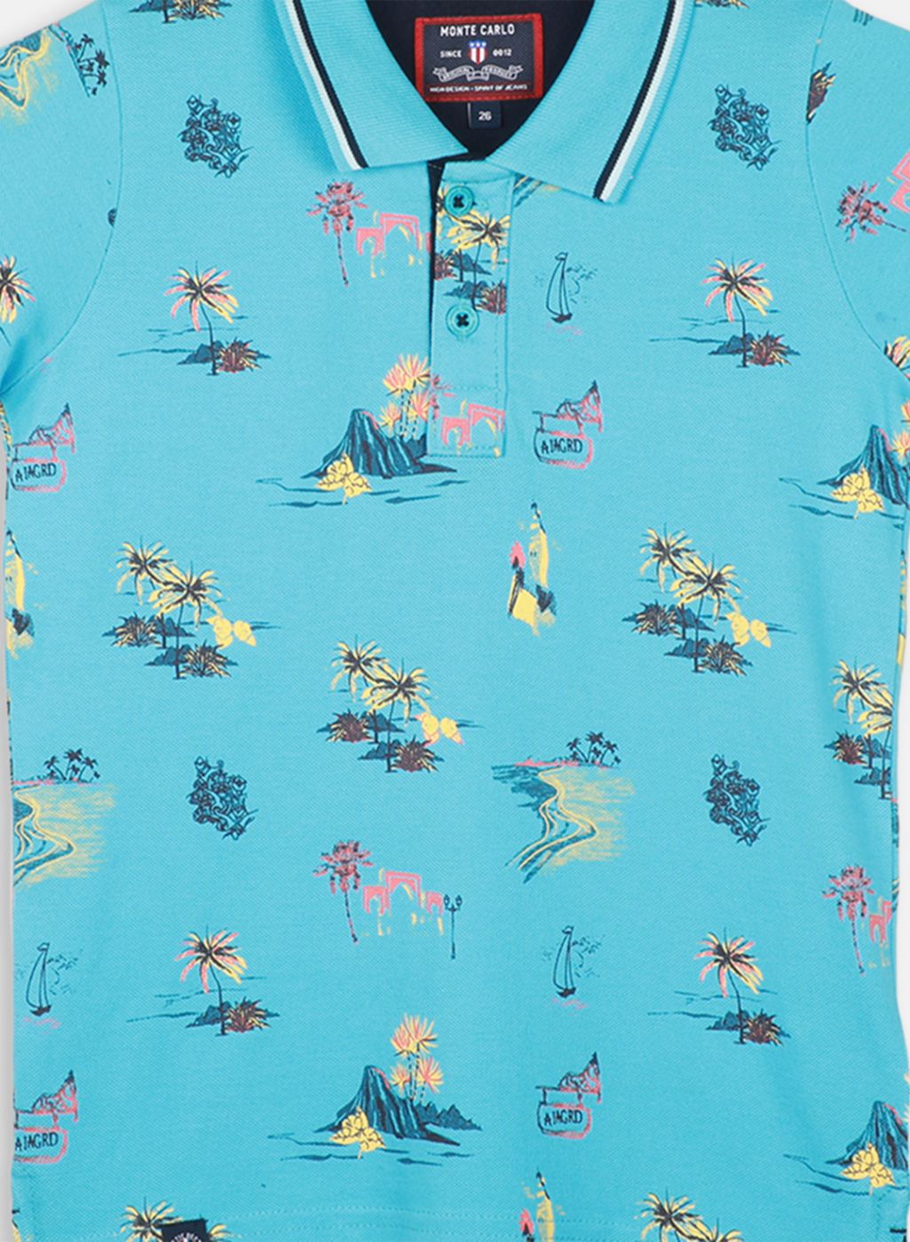 Boys Aqua Blue Printed T-Shirt