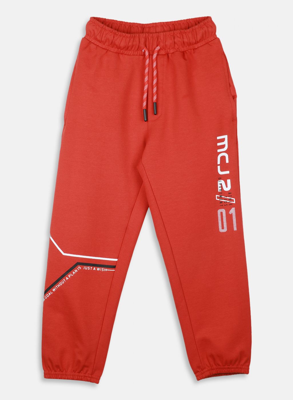 Boys Orange Regular Fit Lower