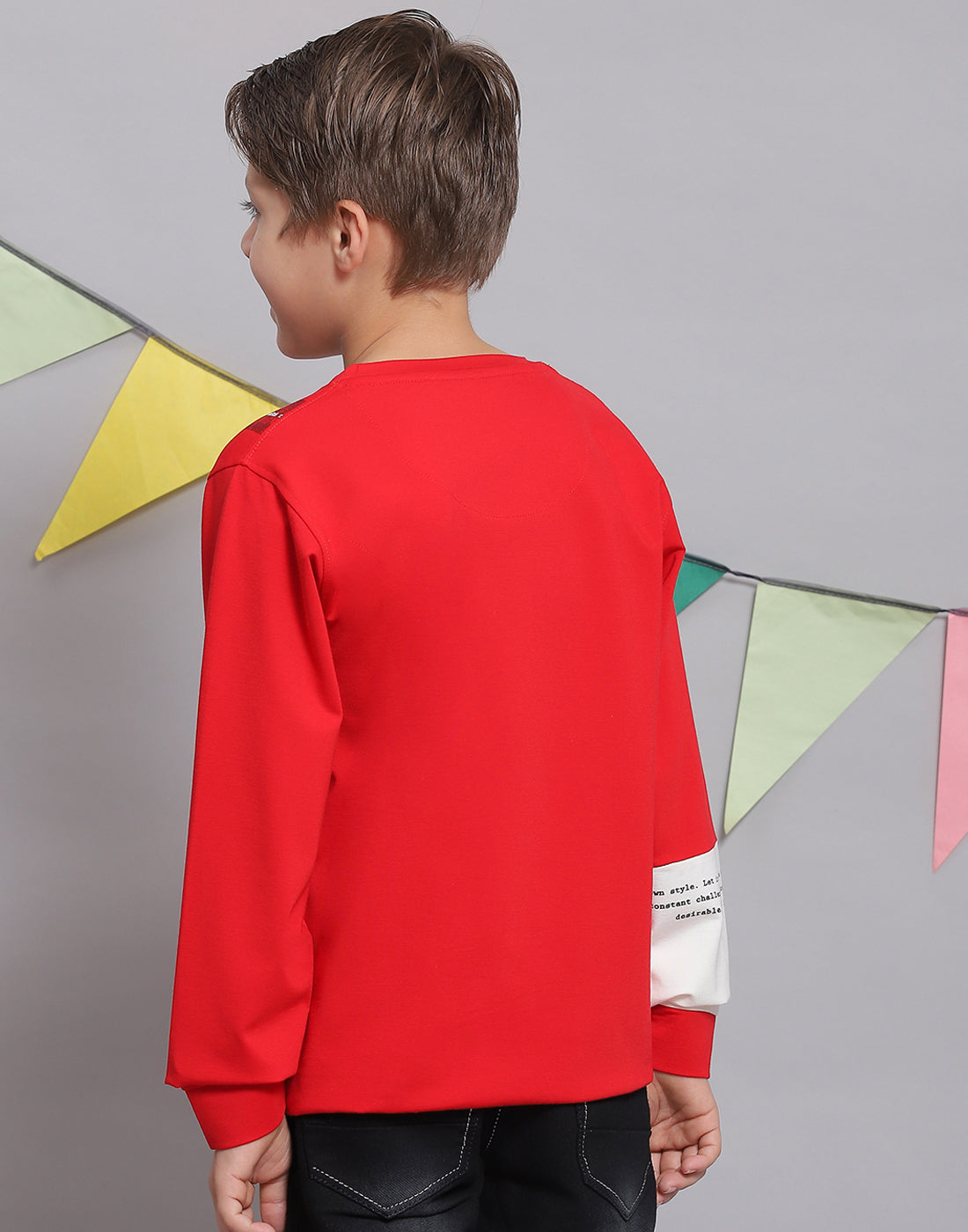 Boys Red Printed Round Neck Full Sleeve T-Shirts