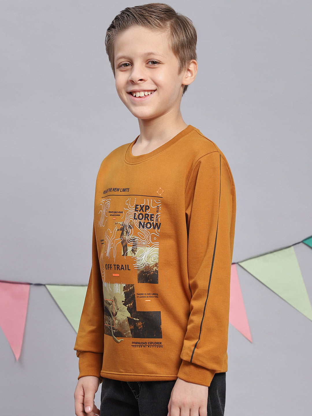 Boys Mustard Printed Round Neck Full Sleeve Sweatshirt