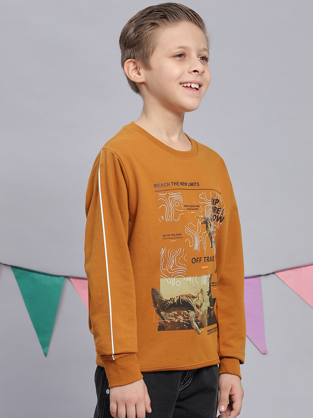 Boys Mustard Printed Round Neck Full Sleeve Sweatshirt