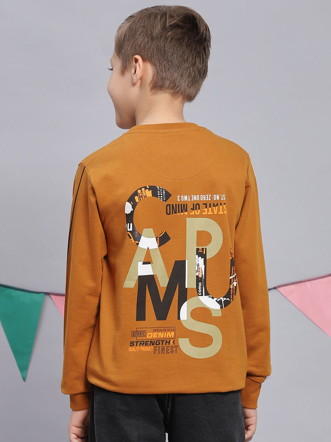 Boys Mustard Printed Round Neck Full Sleeve Sweatshirt