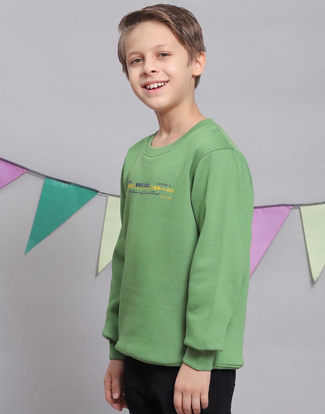 Boys Green Printed Round Neck Full Sleeve Sweatshirt