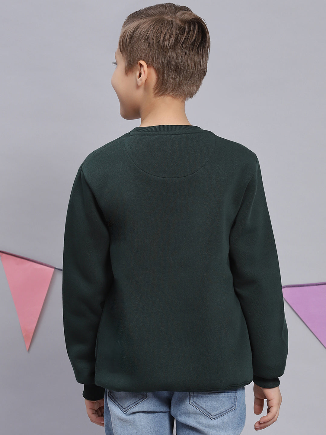 Boys Green Printed Round Neck Full Sleeve Sweatshirt