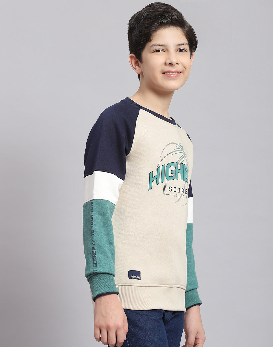 Boys Beige Printed Round Neck Full Sleeve Sweatshirt