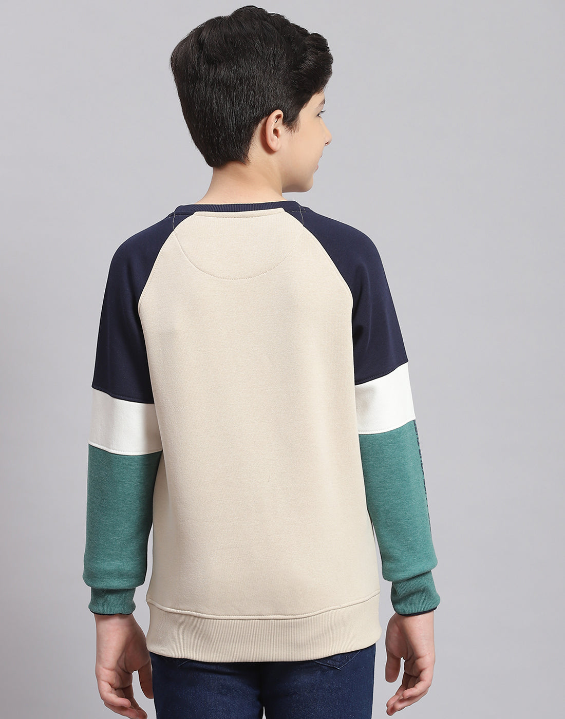 Boys Beige Printed Round Neck Full Sleeve Sweatshirt
