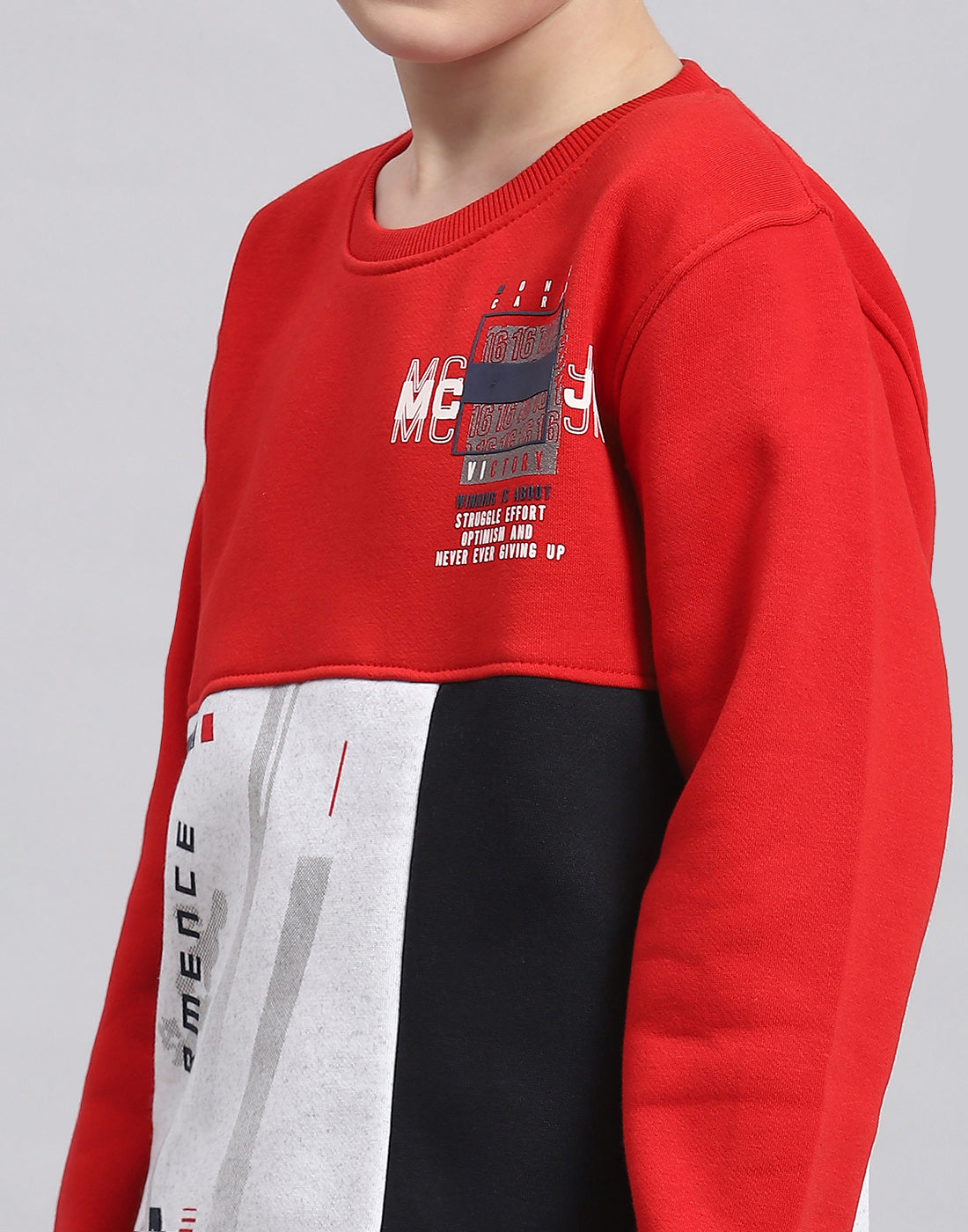 Boys Red Printed Round Neck Full Sleeve Sweatshirt