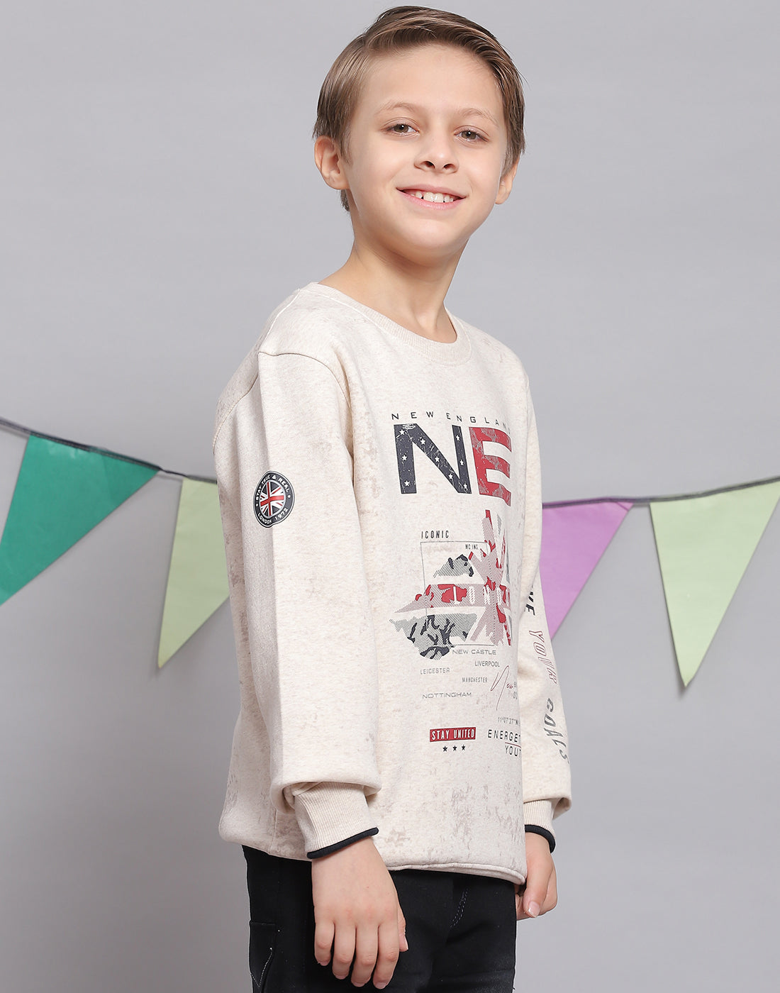 Boys Pink Printed Round Neck Full Sleeve Sweatshirt