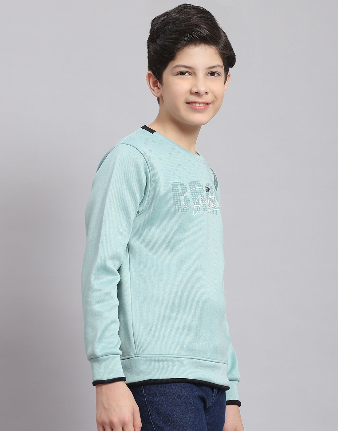 Boys Blue Printed Round Neck Full Sleeve Sweatshirt