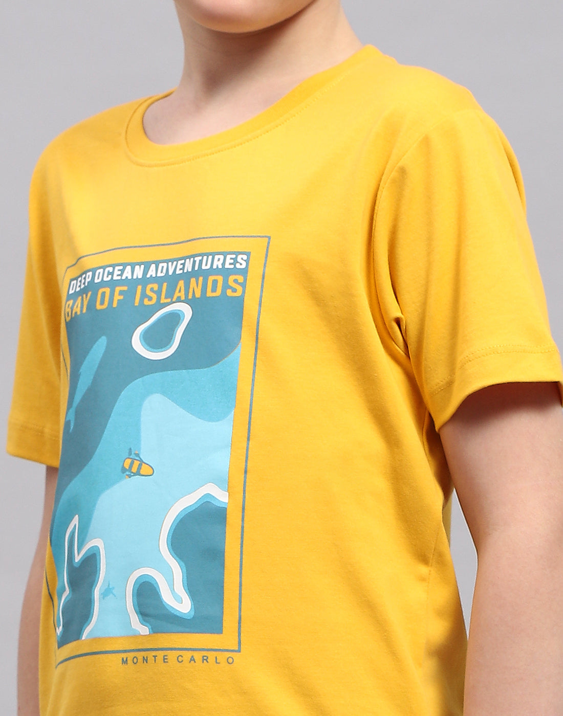 Boys Mustar & Aqua Blue Printed Round Neck Half Sleeve T-Shirt (Pack of 2)