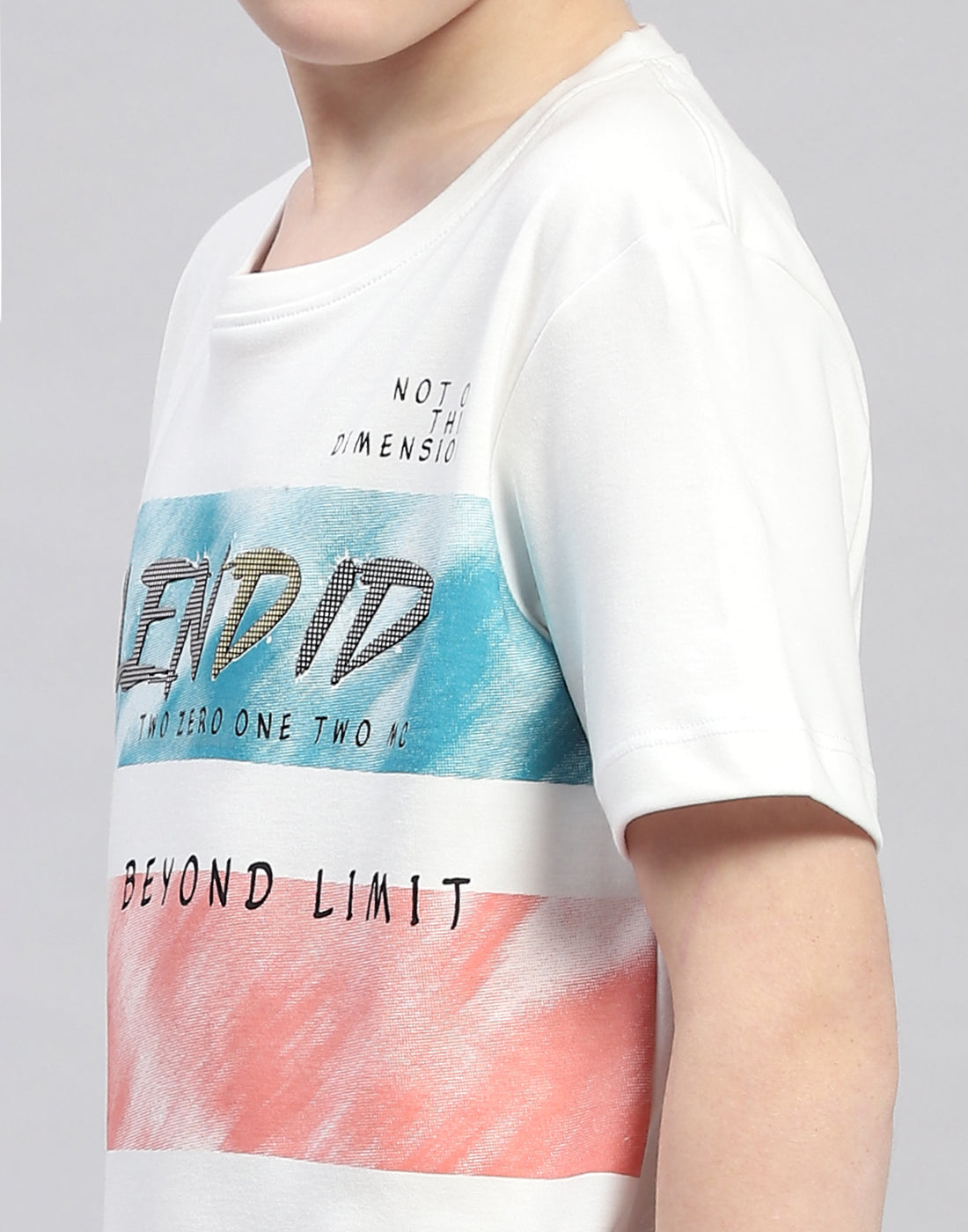 Boys White Printed Round Neck Half Sleeve T-Shirt