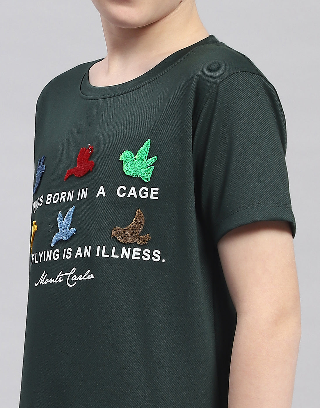 Boys Green Printed Round Neck Half Sleeve T-Shirt