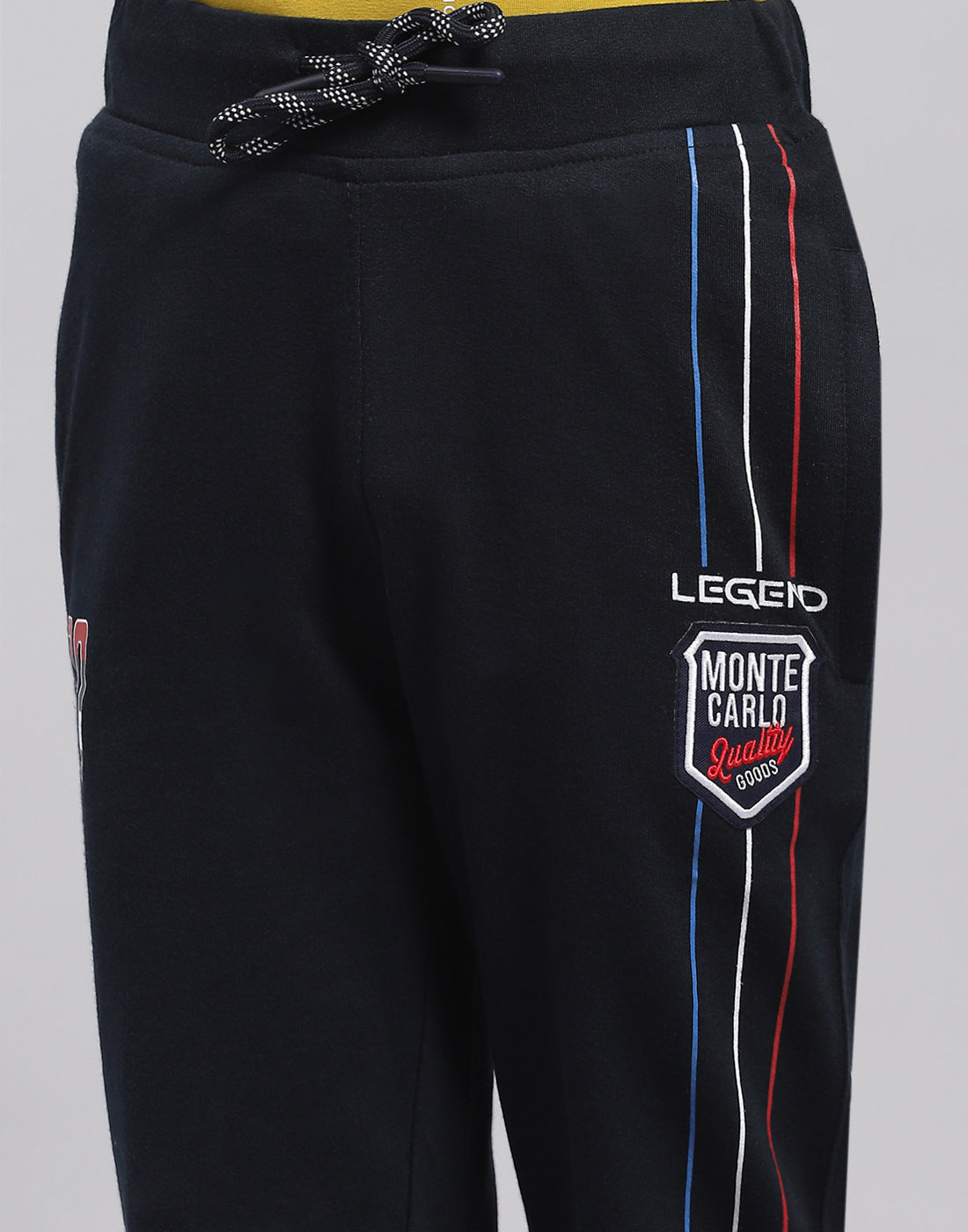 Boys Navy Blue Printed Regular Fit Lower