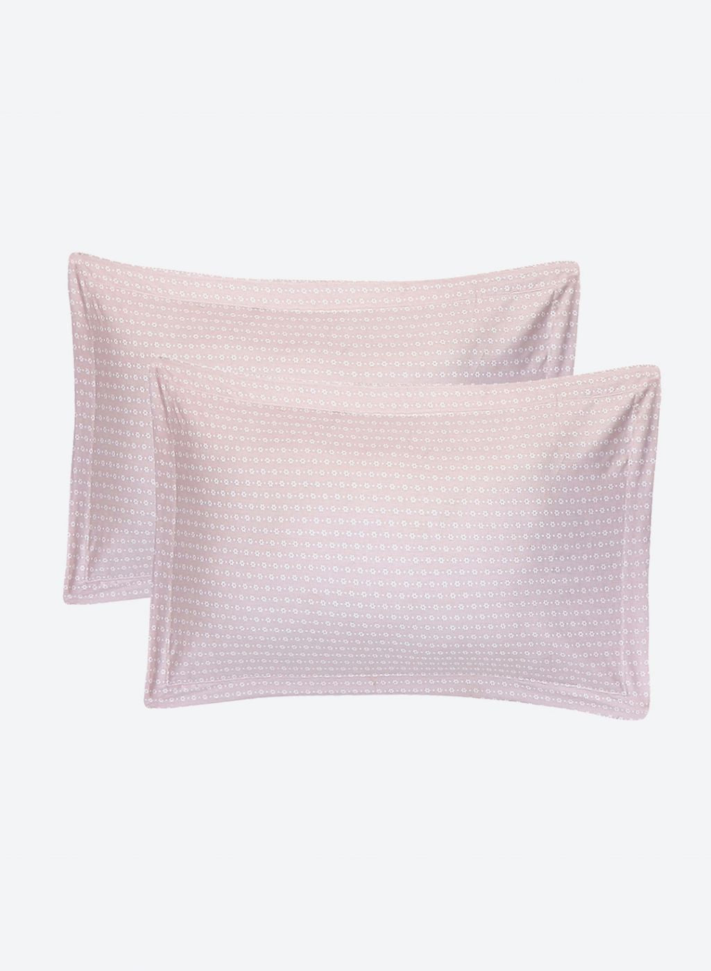 210TC Pure Cotton Queen Bedsheet with 2 Pillow Covers