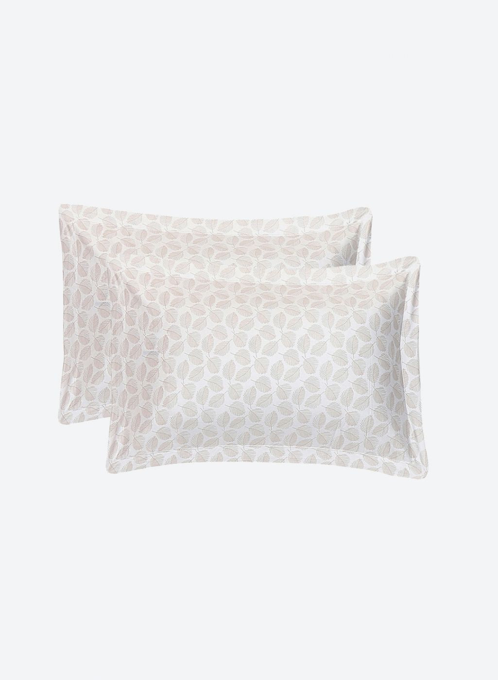 210TC Pure Cotton Queen Bedsheet with 2 Pillow Covers