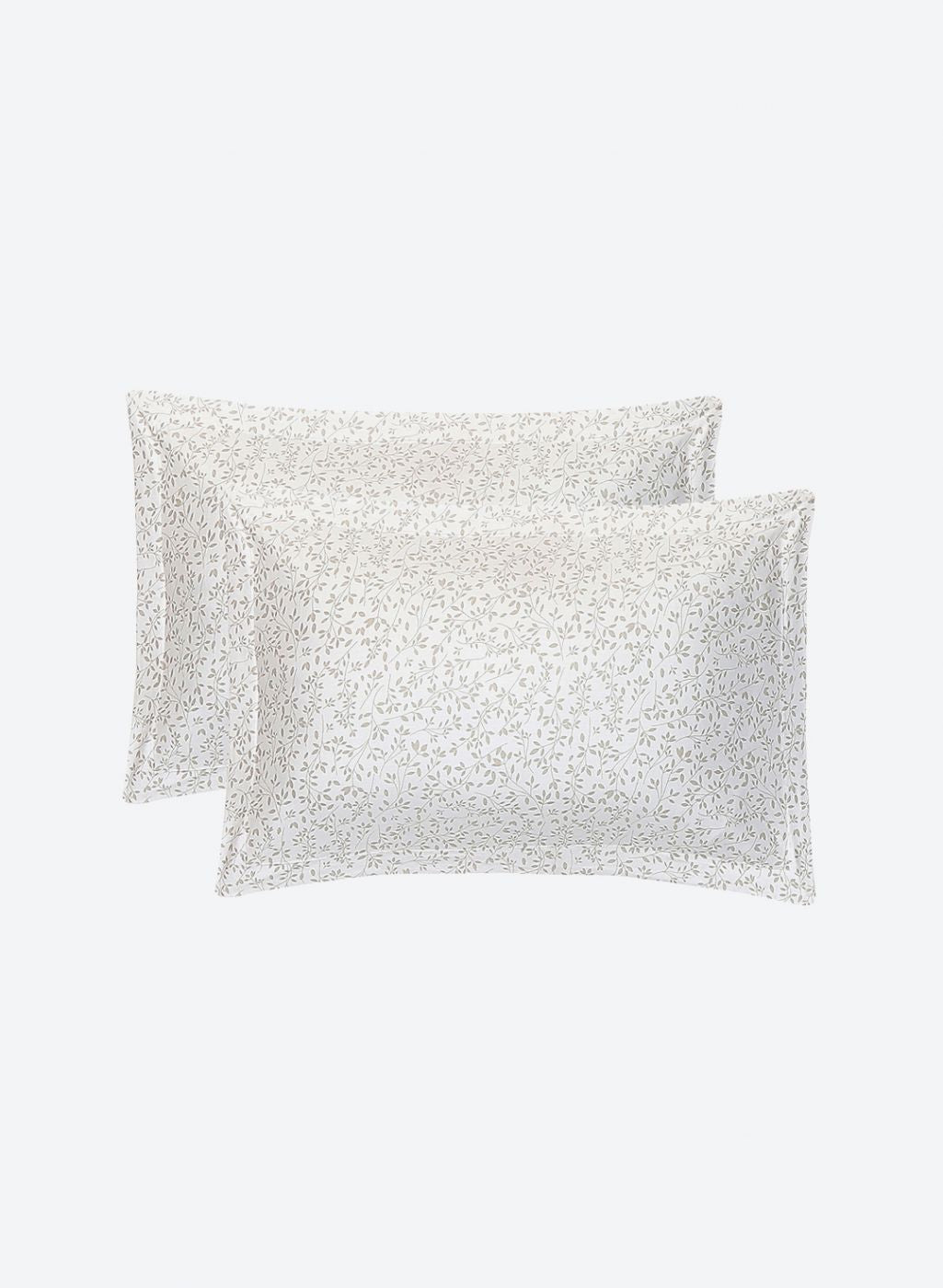 210TC Pure Cotton Queen Bedsheet with 2 Pillow Covers