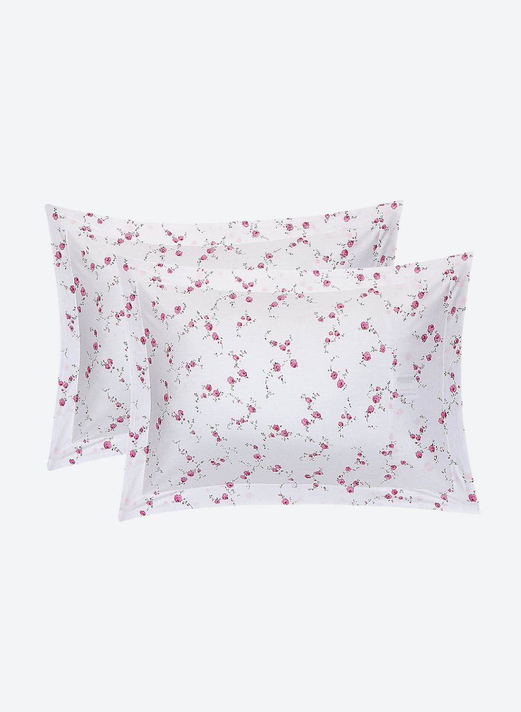 200TC Pure Cotton Queen Bedsheet with 2 Pillow Covers
