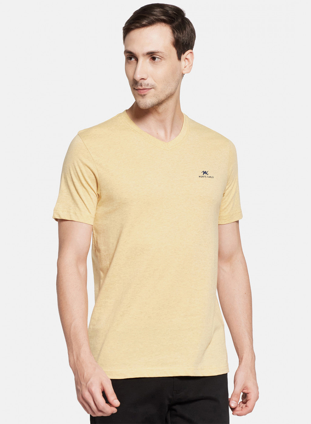 Mens Multi Color Plain T-Shirt